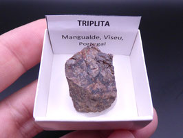 LOW 1405 - TRIPLITA
