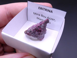 LOW 561 - ERITRINA