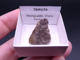 LOW 1350 - TRIPLITA