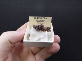 LOW 1313 - FLUORITA