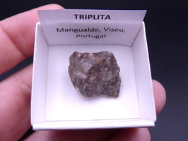 LOW 1371 - TRIPLITA