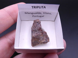 LOW 1410 - TRIPLITA