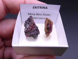 LOW 543 - ERITRINA