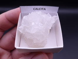 LOW 987 - CALCITA
