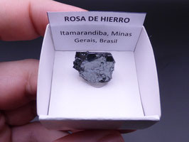 LOW 81 - ROSA DE HIERRO
