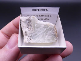 LOW 1556 - PREHNITA