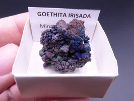 LOW 198 - GOETHITA IRISADA