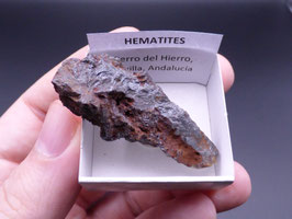 LOW 1178 - HEMATITES