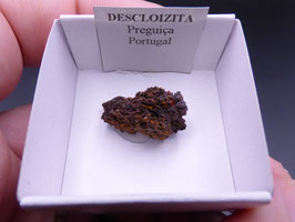 LOW 1362 - DESCLOIZITA