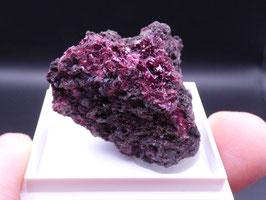 183E - ERITRINA