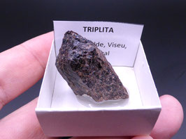 LOW 1341 - TRIPLITA