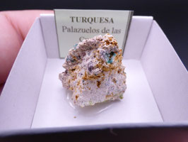 LOW 1405 - TURQUESA