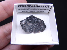LOW 55 - FERROPARGASITA