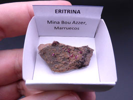 LOW 515 - ERITRINA