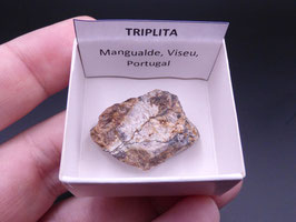 LOW 1372 - TRIPLITA