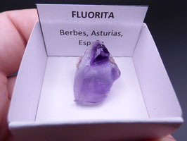LOW 689 - FLUORITA