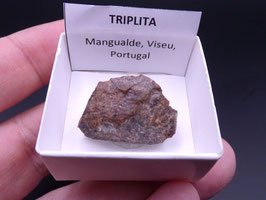 LOW 1358 - TRIPLITA