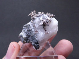 132P - PLATA NATIVA, ALLARGENTUM Y DYSCRASITA EN CALCITA