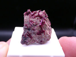 181E - ERITRINA