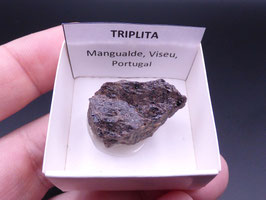 LOW 1391 - TRIPLITA