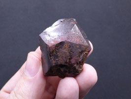 92P - PIRITOEDRO