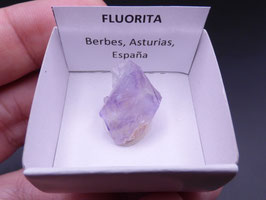 LOW 442 - FLUORITA