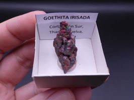 LOW 721 - GOETHITA IRISADA