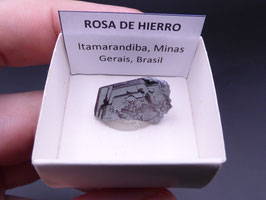 LOW 79 - ROSA DE HIERRO