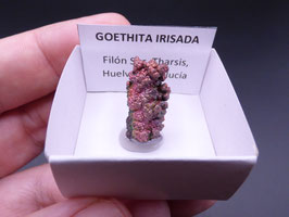 LOW 401 - GOETHITA IRISADA