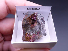 LOW 529 - ERITRINA