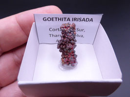 LOW 399 - GOETHITA IRISADA