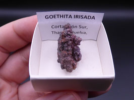 LOW 724 - GOETHITA IRISADA