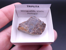LOW 1401 - TRIPLITA