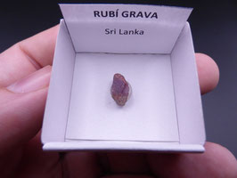 LOW 548 - RUBÍ GRAVA