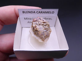 LOW 1675 - BLENDA CARAMELO