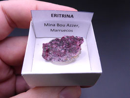 LOW 522 - ERITRINA