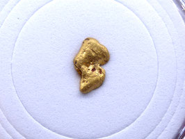 ORO 123 - PEPITA DE ORO NATIVO