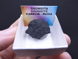 LOW 1244 - SHUNGITA
