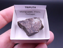 LOW 1389 - TRIPLITA