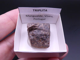 LOW 1349 - TRIPLITA