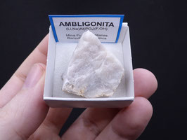 LOW 2248 - AMBLIGONITA