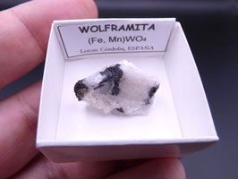 LOW 147 - WOLFRAMITA