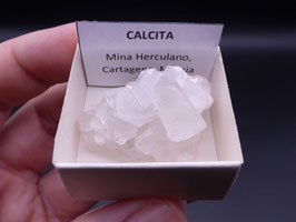 LOW 989 - CALCITA