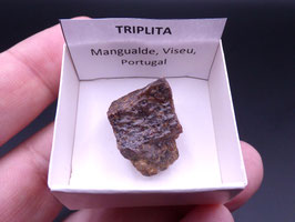 LOW 1334 - TRIPLITA