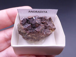 LOW 121 - ANDRADITA