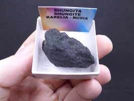 LOW 1183 - SHUNGITA