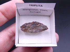 LOW 1377 - TRIPLITA