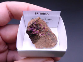LOW 527 - ERITRINA
