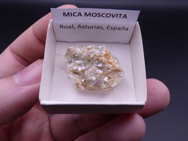 LOW 1807 - MICA MOSCOVITA