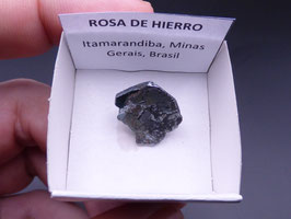 LOW 63 - ROSA DE HIERRO